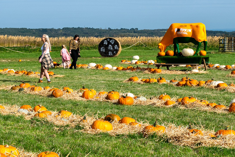 Tapnell Farm Park Halloween Pumpkin Festival
