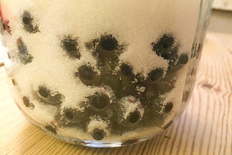Sloe Gin Recipe