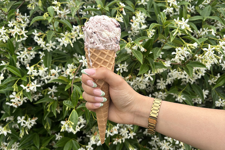 Black Garlic Ice Cream at The Garlic Farm
