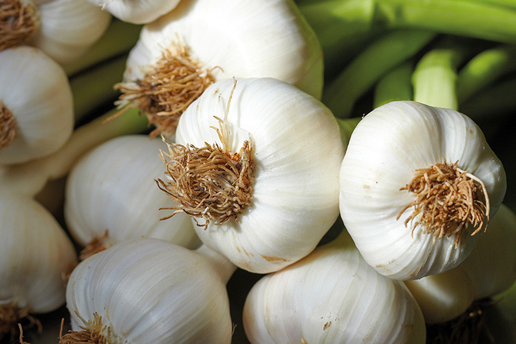 IW Food & Drink Day - The Garlic Farm